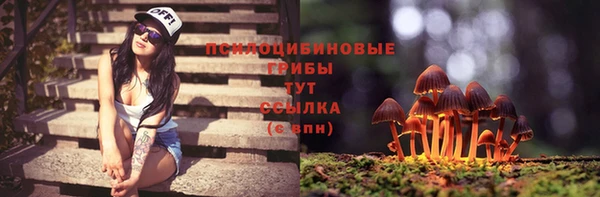 прущая мука Алексин