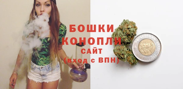 твердый Осинники