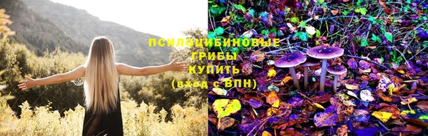 гидра Алексеевка
