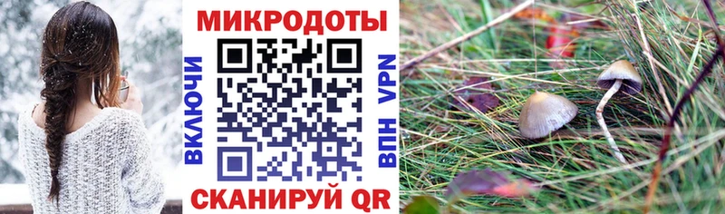 продажа наркотиков Кропоткин Галлюциногенные грибы прущие грибы